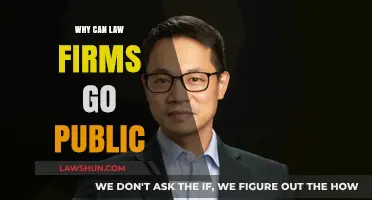 Law Firms: Going Public, Why and How?