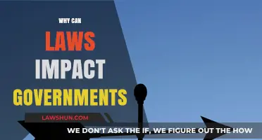Laws' Influence: Governing Governments