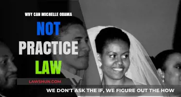 Michelle Obama: A Lawyer's Conundrum
