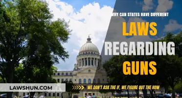 Gun Laws: States' Rights and Firearm Regulations
