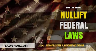 States' Rights: Nullifying Federal Laws Explained