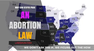 Abortion Laws: States' Rights and Wrongs