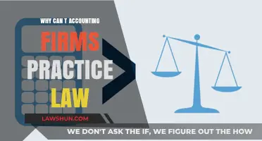 Accounting Firms: Why They Can't Practice Law