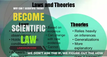Theories vs Laws: Science's Uncertain Truths