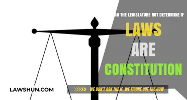 Legislature's Limits: Who Decides Constitutionality?