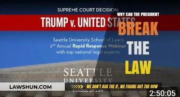 Executive Power: Can the President Break the Law?