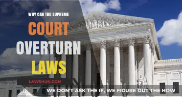 The Supreme Court: Interpreting and Overturning Laws