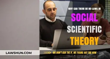 Social Science Theory: Lawlessness Explained
