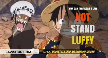 The Unlikely Alliance: Law and Luffy's Unstable Bond