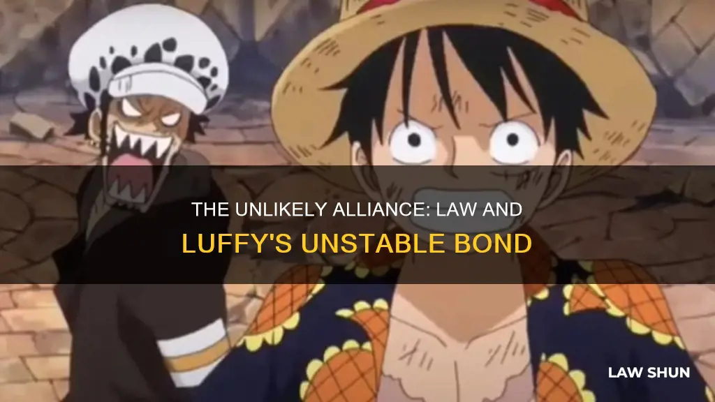 why can trafalgar d law not stand luffy