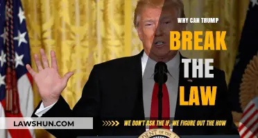 Trump's Law-Breaking: How is it Possible?