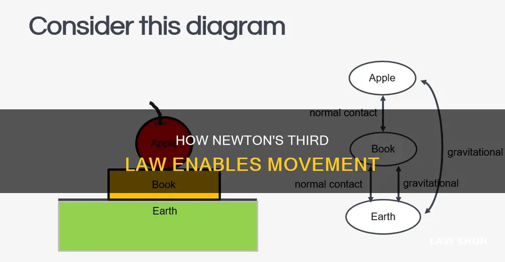 why can we move an object if newton