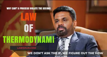 The Second Law of Thermodynamics: Why No Violation is Possible