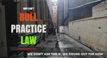 The Bull's Legal Conundrum: Why They Can't Practice Law