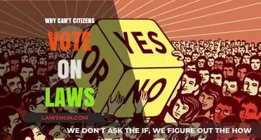 Voting Rights: The Power of Citizens in Democracy