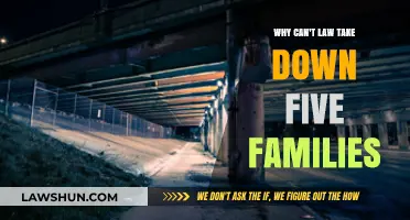 How Five Families Evade the Law