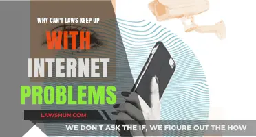 Internet Problems: Laws Lagging Behind in the Digital Age