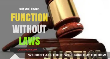 Laws: The Glue That Binds Society Together