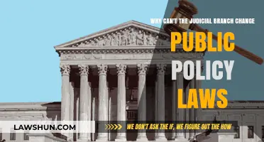 Judicial Branch: Policy-Making or Policy-Changing?