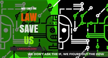 The Law's Limits: Why It Can't Save Us