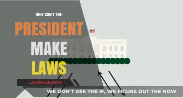 The President's Limitations: Lawmaking Powers Explained