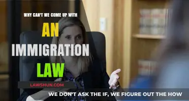 Immigration Law: A Complex Issue or an Opportunity?