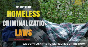 Ending Homelessness: Criminalization Laws' Harmful Impact