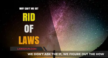 The Necessity of Laws: Why We Can't Escape Them