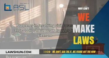 Making Laws: Who, Why, and How?
