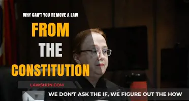 Amending the Constitution: Why Laws Stick