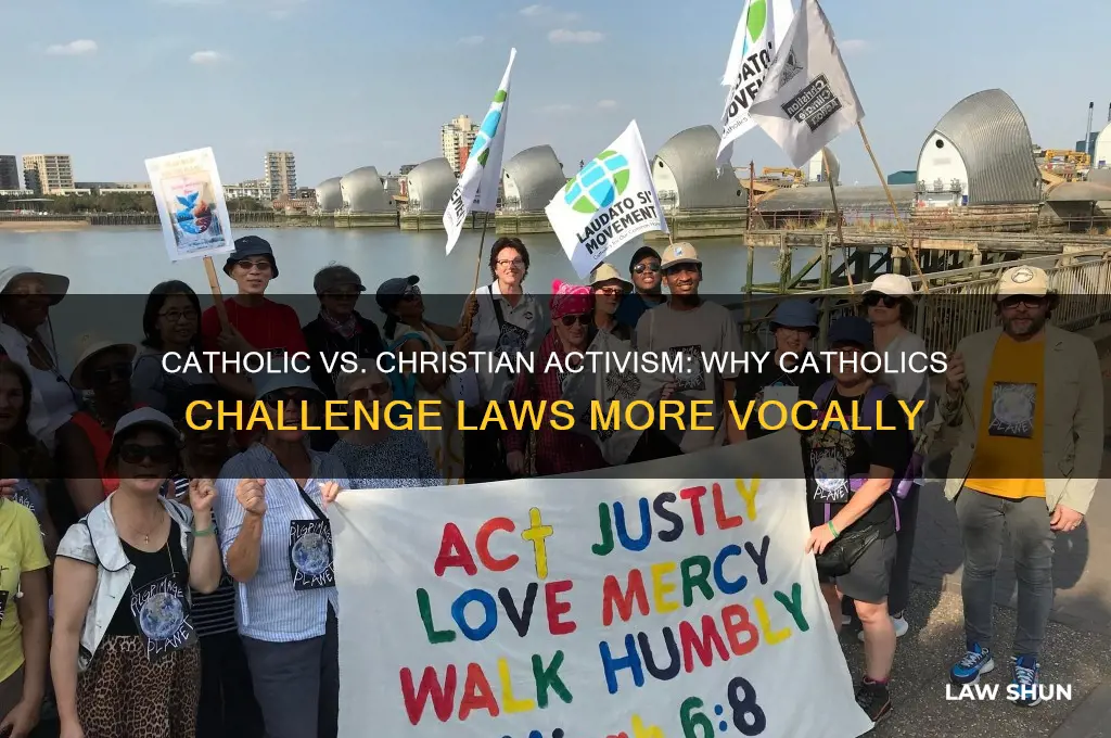 why catholic speak up more against the law than christians