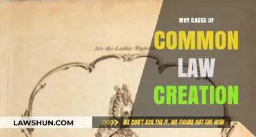 The Evolution of Common Law: Why and How?