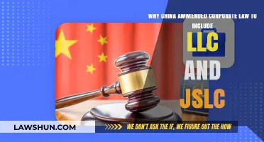 China’s Corporate Law Update: LLC and JSLC Amendments Explained