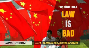 China's One-Child Policy: Devastating Social and Economic Consequences Explained