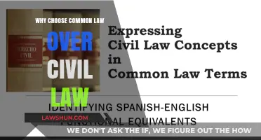 Common Law: Why It's the Better Choice