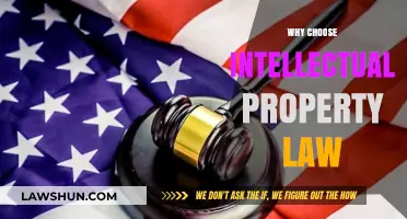 Intellectual Property Law: Protecting Innovation, Creativity, and Your Future Career