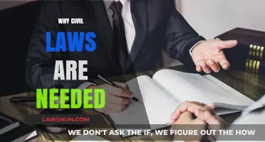 The Essential Role of Civil Laws in Society: Why They Matter