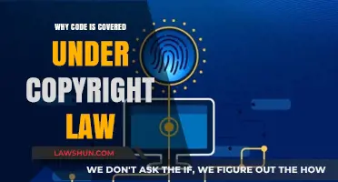 Why Code is Protected: Understanding Copyright Law for Software