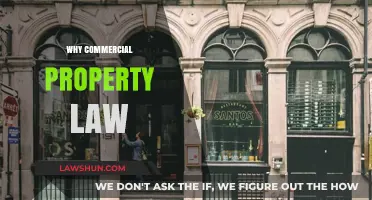 Unlocking Opportunities: The Essential Role of Commercial Property Law