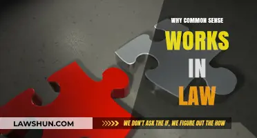 Common Sense: Law's Foundation