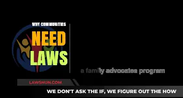 Why Communities Thrive with Laws: Structure, Safety, and Social Harmony