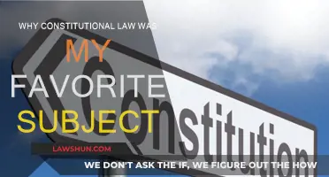 Constitutional Law: My Favorite Subject and Why