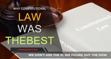 Constitutional Law: My Favorite Subject