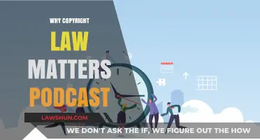 Why Copyright Law Matters: Protecting Creativity in the Digital Age