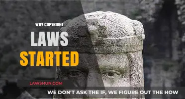 The Origins of Copyright Laws: Protecting Creativity and Innovation