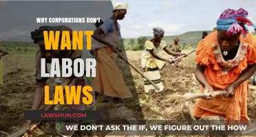 Corporate Resistance to Labor Laws: Protecting Profits Over Workers' Rights