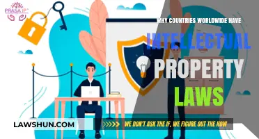 Protecting Innovation: The Global Importance of Intellectual Property Laws