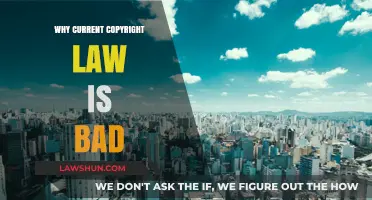 Flawed Copyright Laws: Hindering Creativity, Innovation, and Fair Use Rights