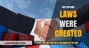 Customs Laws: Protecting Nations and Their Citizens