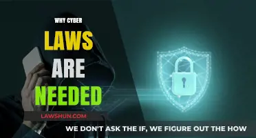 Why Cyber Laws Are Essential for Digital Safety and Security